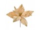 Béžovo-zlatá květina béžová vánoční hvězda Poinsettia - Ø 36*36 cm Clayre & Eef