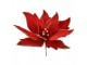 Artificial Flower Poinsettia ? 43x28 Cm Red Plastic - ? 43*28 cm Clayre & Eef