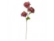 Artificial Flower 64 Cm Purple Plastic - 8*8*64 cm Clayre & Eef