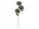 Artificial Flower 64 Cm Green Plastic - 8*8*64 cm Clayre & Eef