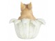 Decorative Figurine Rabbit 12x12x12 Cm Beige Plastic - 12*12*12 cm Clayre & Eef