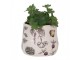 Keramický obal na květináč zelenina The Kitchen Garden - Ø 11*10 cm