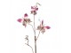 Dekorativní větev s motýlky Butterfly pink - 14*5*85 cm
