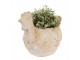 Béžový antik květináč slepička Chicken Brocante - 31*20*27 cm