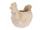 Béžový antik květináč slepička Chicken Brocante - 31*20*27 cm