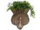 Hnědý antik nástěnný květináč páv Peacock Baroque - 36*12*39 cm