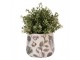 Keramický obal na květináč zelenina The Kitchen Garden S - Ø 14*12 cm Clayre & Eef