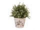 Béžový obal na květináč s houbičkami Little Forest Jewels S - Ø 12*11 cm Clayre & Eef