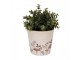 Béžový obal na květináč s houbičkami Little Forest Jewels M - Ø 15*14 cm