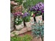 Béžovo-zelený obal na květináč s růžovými květy Rustic Flower S - Ø 13*12 cm Clayre & Eef