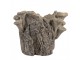 Hnědý cementový květináč kmen stromu s houbami Botanic - 19*17*16 cm Clayre & Eef
