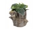 Hnědý cementový květináč kmen stromu s houbami Botanic - 19*17*16 cm Clayre & Eef