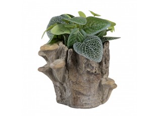 Hnědý cementový květináč kmen stromu s houbami Botanic S - 19*17*16 cm