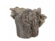 Hnědý cementový květináč kmen stromu s houbami Botanic M - 24*18*18 cm Clayre & Eef