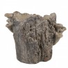 Hnědý cementový květináč kmen stromu s houbami Botanic M - 24*18*18 cm