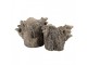 Hnědý cementový květináč kmen stromu s houbami Botanic M - 24*18*18 cm Clayre & Eef