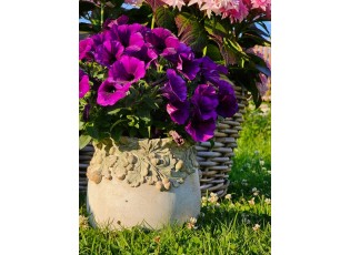 Cementový květináč s dubovými listy a žaludy Acornia M - Ø 19*17 cm
