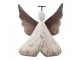 Dekorace dřevěná figurka anděl Angel Rustic S - 8*3*9 cm Clayre & Eef