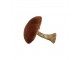Sametová dekorace hnědá houba Mushroom - 10*10*10cm Mars & More 
