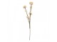 Artificial Flower 58 Cm White Plastic - 6*6*58 cm Clayre & Eef