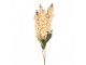 Artificial Flower 85 Cm Beige Plastic - 8*6*85 cm Clayre & Eef