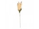 Artificial Flower 85 Cm Beige Plastic - 8*6*85 cm Clayre & Eef
