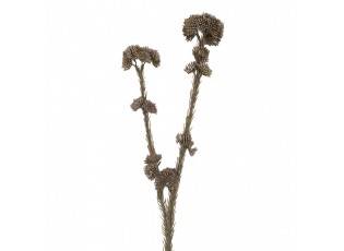Artificial Flower 58 Cm Grey Plastic - 6*6*58 cm