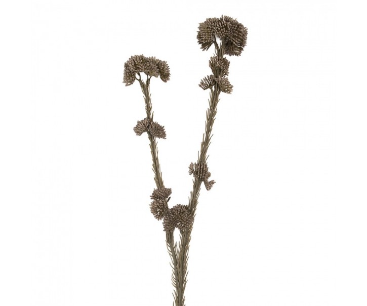 Artificial Flower 58 Cm Grey Plastic - 6*6*58 cm Clayre & Eef