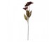 Artificial Flower 60 Cm Brown Plastic - 8*5*60 cm Clayre & Eef