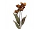 Artificial Flower 60 Cm Brown Plastic - 8*5*60 cm Clayre & Eef