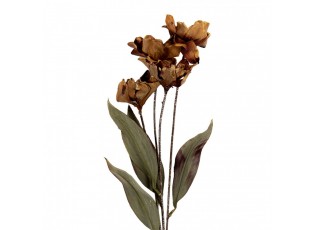 Artificial Flower 60 Cm Brown Plastic - 8*5*60 cm