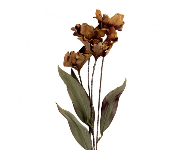 Artificial Flower 60 Cm Brown Plastic - 8*5*60 cm Clayre & Eef