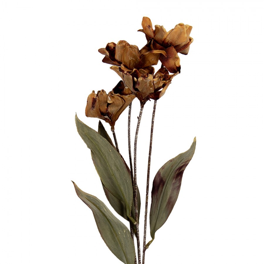 Artificial Flower 60 Cm Brown Plastic - 8*5*60 cm