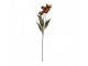 Artificial Flower 60 Cm Brown Plastic - 8*5*60 cm Clayre & Eef