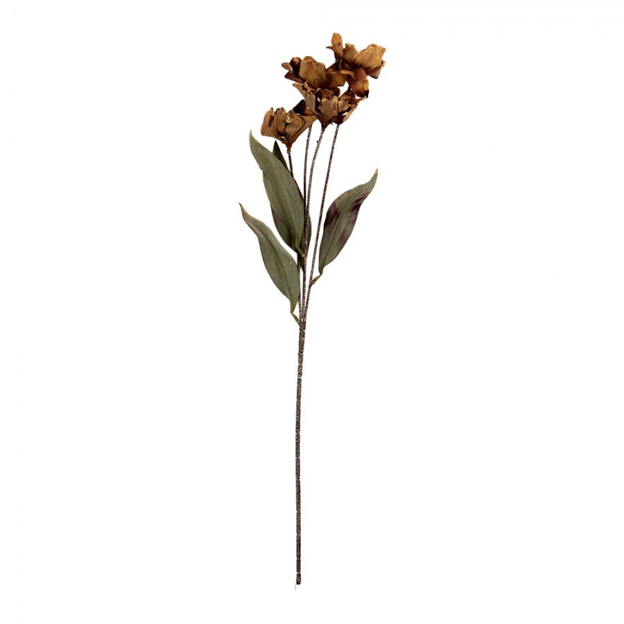 Artificial Flower 60 Cm Brown Plastic - 8*5*60 cm