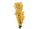 Artificial Flower 100 Cm Yellow Plastic - 15*10*100 cm Clayre & Eef