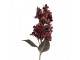 Artificial Flower 72 Cm Purple Plastic - 8*8*72 cm Clayre & Eef