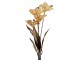 Artificial Flower 60 Cm Beige Plastic - 8*5*60 cm Clayre & Eef