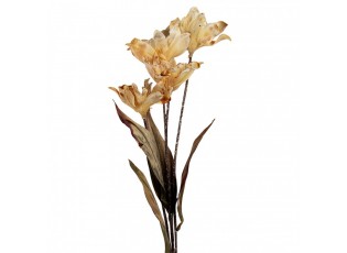 Artificial Flower 60 Cm Beige Plastic - 8*5*60 cm