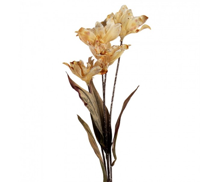 Artificial Flower 60 Cm Beige Plastic - 8*5*60 cm Clayre & Eef