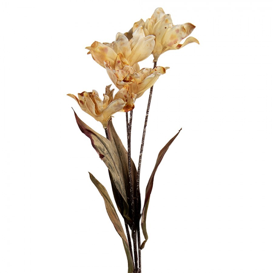 Artificial Flower 60 Cm Beige Plastic - 8*5*60 cm