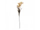 Artificial Flower 60 Cm Beige Plastic - 8*5*60 cm Clayre & Eef