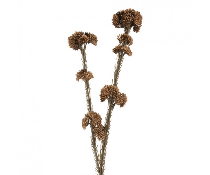 Artificial Flower 58 Cm Brown Plastic - 6*6*58 cm Clayre & Eef