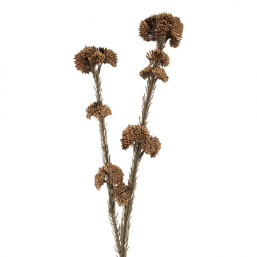 Artificial Flower 58 Cm Brown Plastic - 6*6*58 cm