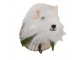 Wall Hook Dog 11x15x14 Cm White Felt - 11.0 cm Clayre & Eef