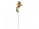 Artificial Flower 64 Cm Orange Plastic - 10*8*64 cm Clayre & Eef
