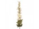 Artificial Flower 77 Cm Beige Plastic - 6*6*77 cm Clayre & Eef