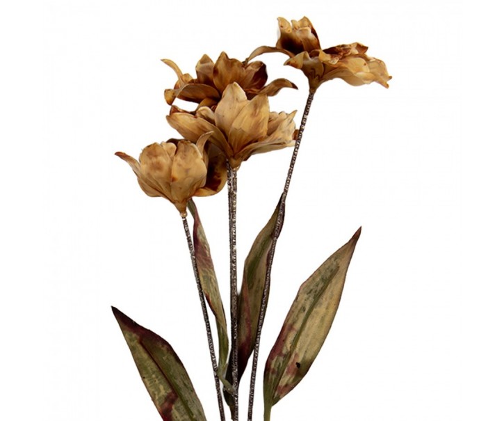 Artificial Flower 60 Cm Brown Plastic - 8*5*60 cm Clayre & Eef