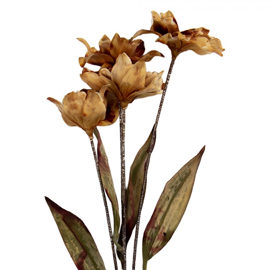 Artificial Flower 60 Cm Brown Plastic - 8*5*60 cm