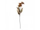 Artificial Flower 60 Cm Orange Plastic - 8*5*60 cm Clayre & Eef